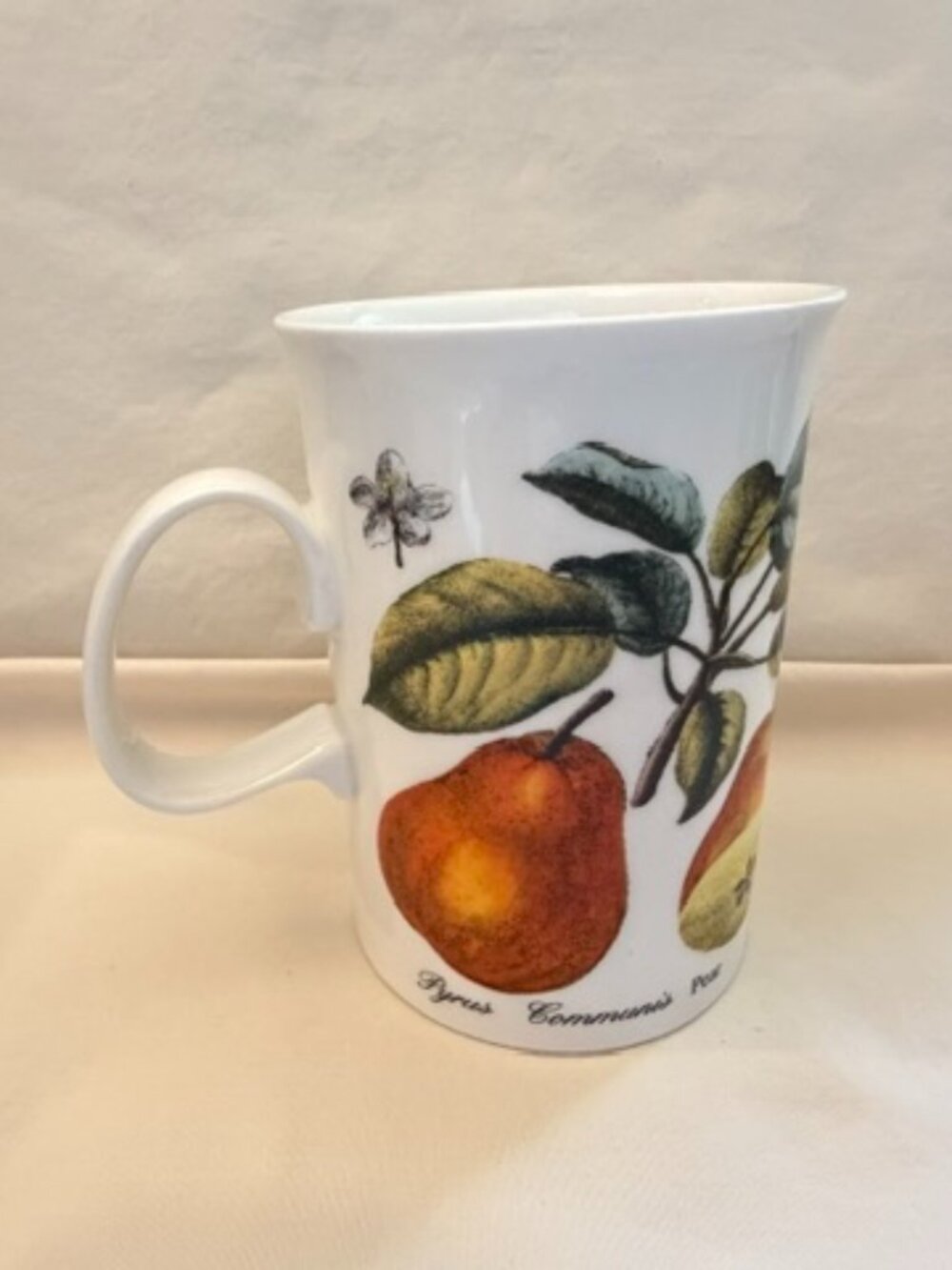 Dunoon England Pear Prune Fruit Bone China Tea Mug